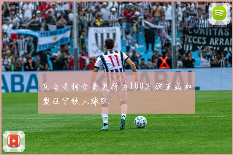 瓦吉奇转会费更新为100万欧正式加盟辽宁铁人球队